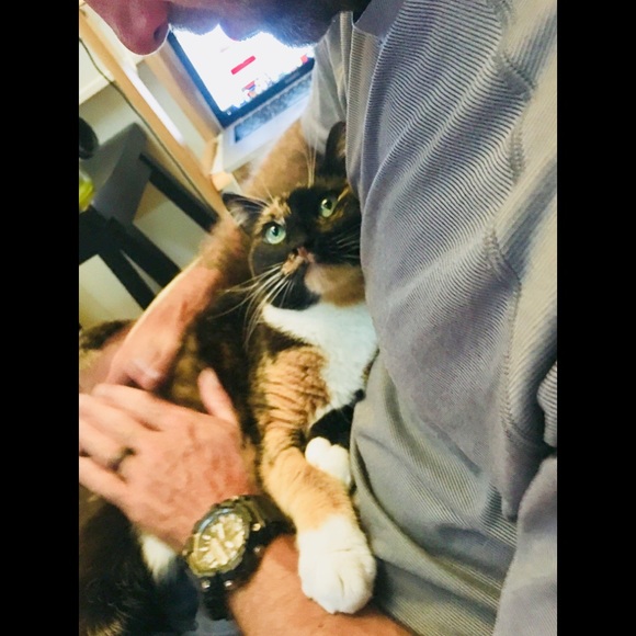 Meet your Posher. Maikai. - Latest Goodies: Polewear Rave Pieces Purses Shoes - Picture 3 of 8